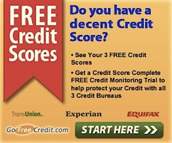 Go Free Credit Review