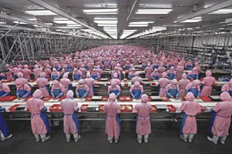 Chinese Toy Factory