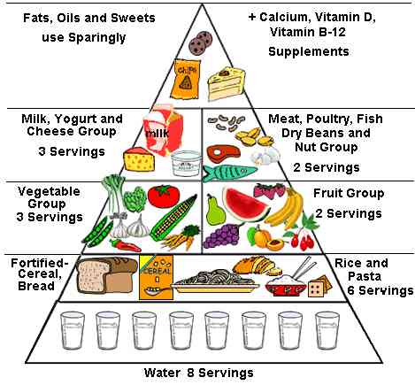 food pyramid