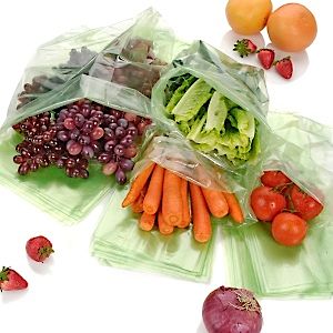 Debbie Meyer Green Bags, food saver bags