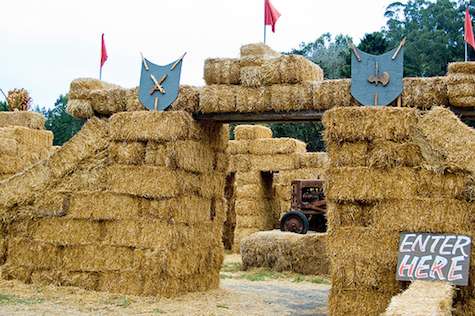 pumpkin patch, hay maze