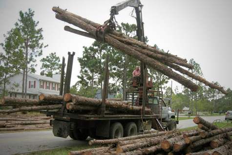 logger, lumberjack