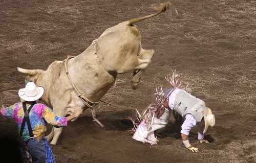 penny stocks, bull rider