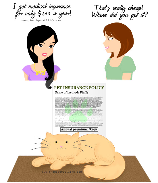 Pet Insurance