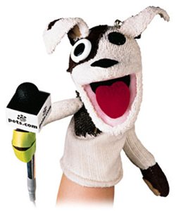 pets dot com sock puppet, dotcom boom and bust, money, silicon valley