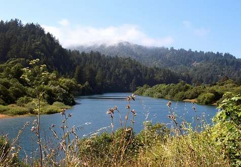 Of The Russian River With 94