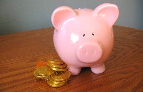 Wise Bread Piggy Bank