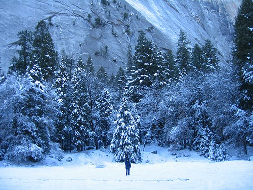 Yosemite Mountains