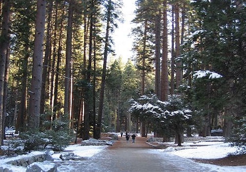 Hiking in Yosemite